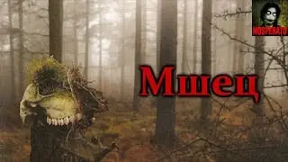 Истории на ночь - Мшец