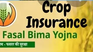 Fasal Bima Online Kaise Kare?  'फसल बीमा'कैसे कराया जाता है ?? पूरी जानकारी pmfby- fasal bima Yojna