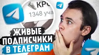 ЖИВЫЕ ПОДПИСЧИКИ В ТЕЛЕГРАМ / КАК НАКРУТИТЬ ПОДПИСЧИКОВ В ТЕЛЕГРАМ