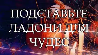 ☝НЕВЕРОЯТНО!!! ЭТА НЕДЕЛЯ НЕСЁТ ЧУДЕСА К ВАМ!!!💯🙏🙏🙏