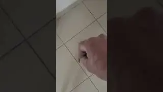 длинные ходули и короткие руки🤣