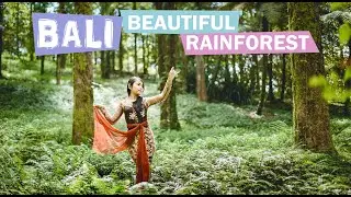 Photo Hunting in the Middle of the Forest | Bedugul Botanical Gardens | Bali Tour