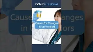 Decoding Urine Colors: Insights into Kidney and Bladder Health 