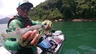 variedades na Junqueira pesca com caiaque