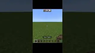 what happens if a wither is made with soul soil #minecraft