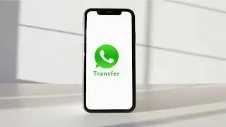 How to Transfer WhatsApp Chat History from iPhone to iPhone