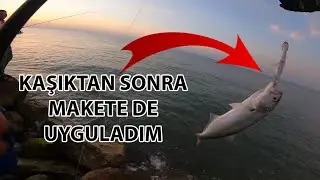 SUÜSTÜ LÜFER AVI... BU SEÇENEK MAKETTE DE OLABİLİR