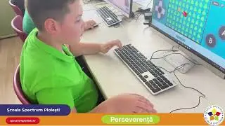 Ora de Informatică- Săptămâna Verde - clasa a IV a