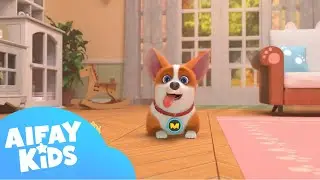 Flying MOCO🐶 | Most Popular Collection 02 爆笑合集02 | Flying MOCO Shorts 爆笑飛狗MOCO