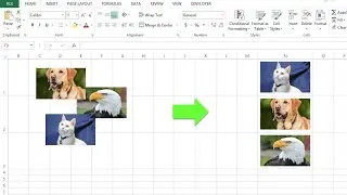 INSERT MULTIPLE PICTURE AUTOMATICALLY PRECISELY TO CENTER CELL | EXCEL