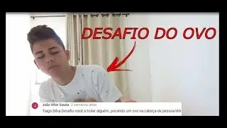 Respondendo perguntas - Desafio do ovo