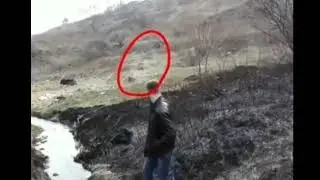 Penampakan jelas tertangkap kamera