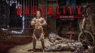 MK11 'Liu Kang THE CHOSEN ONE Brutality' Gameplay (2019) HD
