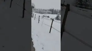 Погода Цюрих. 2апреля. Настоящая зима в Швейцарии