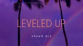 Shawn BLK - Leveled Up