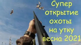 СУПЕР ОХОТА НА УТКУ ВЕСНОЙ В СИБИРИ 2021г.