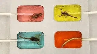 10 САМЫХ ОТВРАТИТЕЛЬНЫХ КОНФЕТ В МИРЕ.  Часть 1