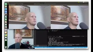 Jetson Nano B01 - Dual RPi Cameras + how to get faster frame rates