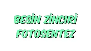 BESİN ZİNCİRİ FOTOSENTEZ
