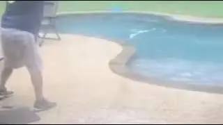 Давай ещё! Утка и бассейн.