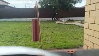 Колокольчики везде
