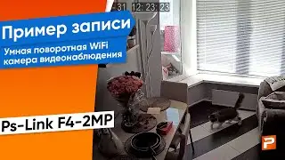 Пример записи Умная поворотная WiFi камера видеонаблюдения 2Мп 1080P Ps-Link F4-2MP