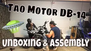 Tao Tao Db14 110cc Assembly / Review & first impressions #taotao #taomotor #dirtbike #110cc #pitbike
