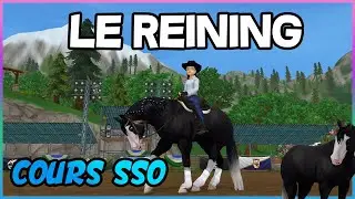 [COURS SSO] LE REINING ! | STAR STABLE