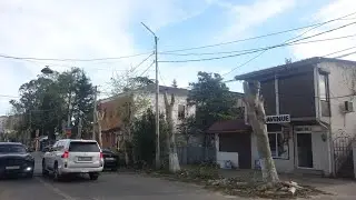 С середины марта специалисты МУП «Благоустройство» занимаются обрезкой платанов по улице Воронова