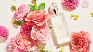 Darby Rose: The Ultimate Spring Fragrance