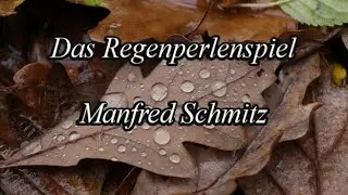 Das Regenperlenspiel - Manfred Schmitz