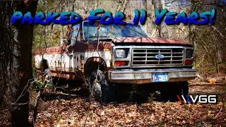 ABANDONED Tree Row Big Block Ford F250! Will it Run and Drive After 11 Years?