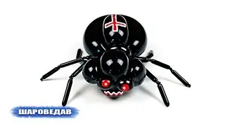 Spider 🕷️ of balloons Halloween
