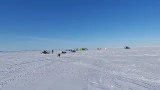 Сижу в палатке , ловлю потихой зубаря..