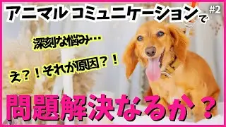 ② 深刻な愛犬の悩みを相談してみたら意外な発見が　【アニマルコミュニケーション】【無駄吠え】