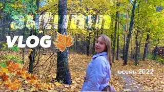 AUTUMN VLOG 🍁/ НЕДЕЛЯ ЖИЗНИ СО МНОЙ / ОХОТА ЗА ГРИБАМИ 🍄/ МОТИВАЦИЯ НА УБОРКУ🧹🧽
