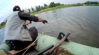 Шок!!! Браконьеры в центре города. сети  Северодонецк.