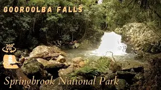 Gooroolba Falls, Springbrook National Park - 360°/VR Immersive Experience