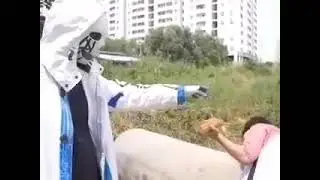 404 steal bread