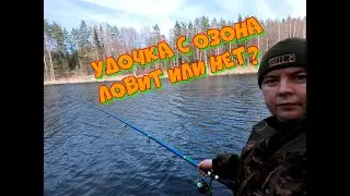 Удочка с Озона.