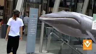 Underwater Experience Teaser