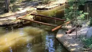Пруд Вид сверху.