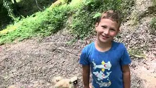 АДЛЕР СОЧИ прогулка по лесу. Национальный Парк,речка,лес. Странные Грибы из них течёт молоко24.06.23