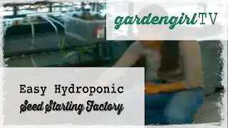 Easy Hydroponic Seed Starting Factory