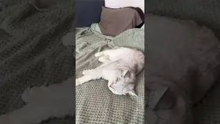 И так всегда когда ты куда то собираешься идти! А у тебя?