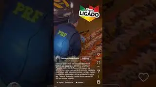man arrested with 66 dead birds