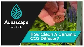 How To Clean a Ceramic CO2 Diffuser