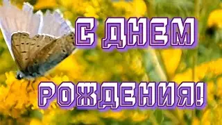 С Днем Рождения Моя Любимая Собака! Поздравление Собаке С Днем рождения!
