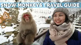 Snow Monkeys of Japan | Jigokudani Monkey Park Nagano Travel Guide
