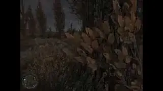 STALKER MOD Autumn Aurora